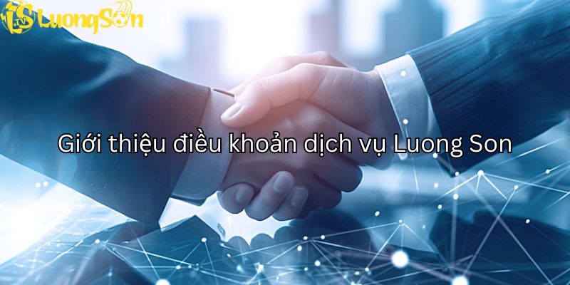 Giới thiệu về điều khoản dịch vụ Luong Son