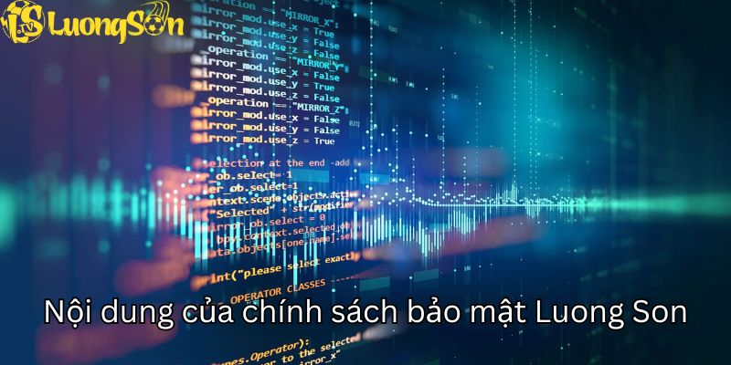 Nội dung quan trọng liên quan tới chính sách bảo mật Luong Son